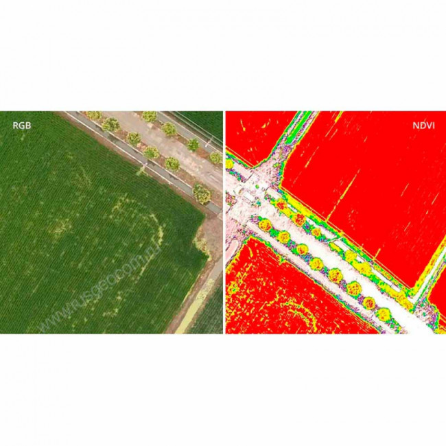 Сельскохозяйственный квадрокоптер DJI Phantom 4 мультиспектральный Сельскохозяйственный квадрокоптер DJI Phantom 4 мультиспектральный